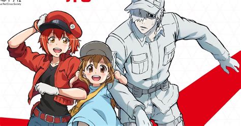 Watch Cells at Work! .